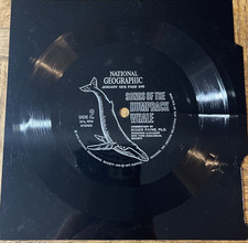 Songs Of The Humpback Whale Record LP-Rare