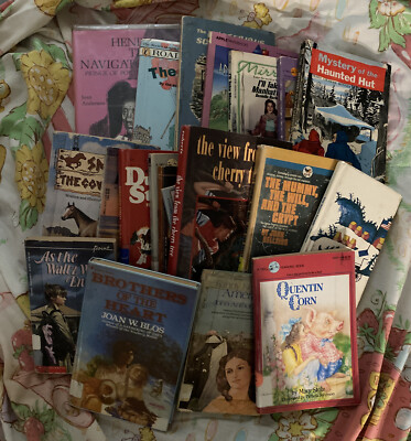 Lot of 20 Young Adult Childrens Chapter Books | eBay
