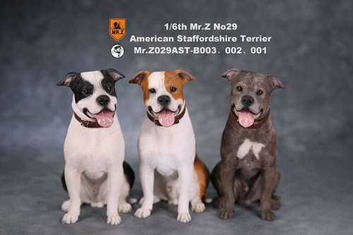 Statua in resina cane Mr.z scala 1/6 NO29 American Staffordshire Terrier IN MAGAZZINO - Foto 20 di 28