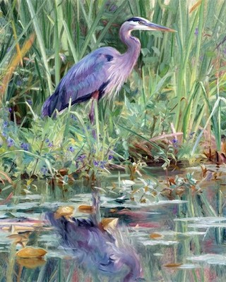 Nature Art Great Blue Heron Bird oil art print. Free Shipping  0209