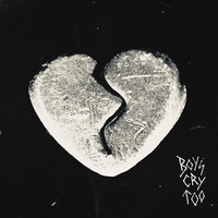 Haunted Youth - Boys Cry Too - Cd Album - F123Z