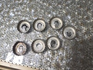 Coke All Stars Bottle Caps - Lot of 7 Est #59 Risty Staub, Ernie Banks, Jim Bunn