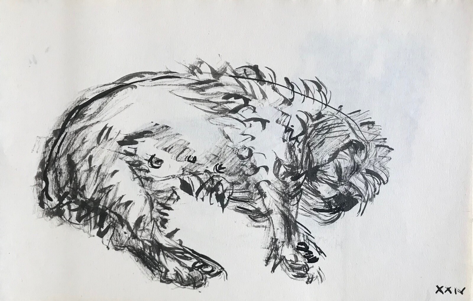 Hélène vogt - Drawing Original - Ink - Dog 29