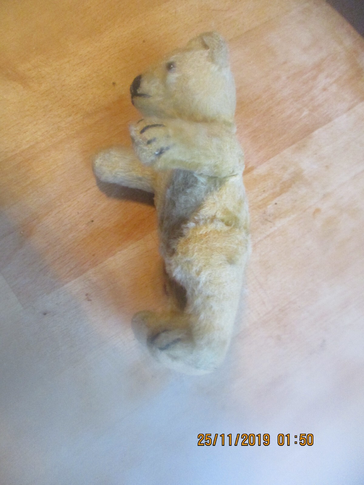 Bild 6 von 6