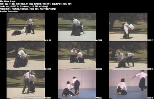 Home Study Course - Traditional Aikido (DVDs + Certificates) - Picture 5 of 7