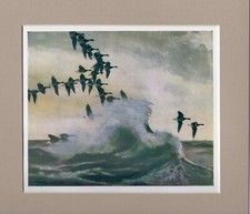 Peter Scott  ~ Brent Geese Fly Along The Shore ~ Genuine Original  1941