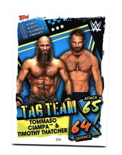 Tommaso Ciampa & Timothy Thatcher 2021 Topps Slam Attax WWE 204