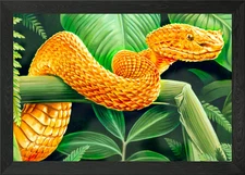 Acrylic painting of a deadly eyelas Framed Wall Art Poster Canvas Print Picture