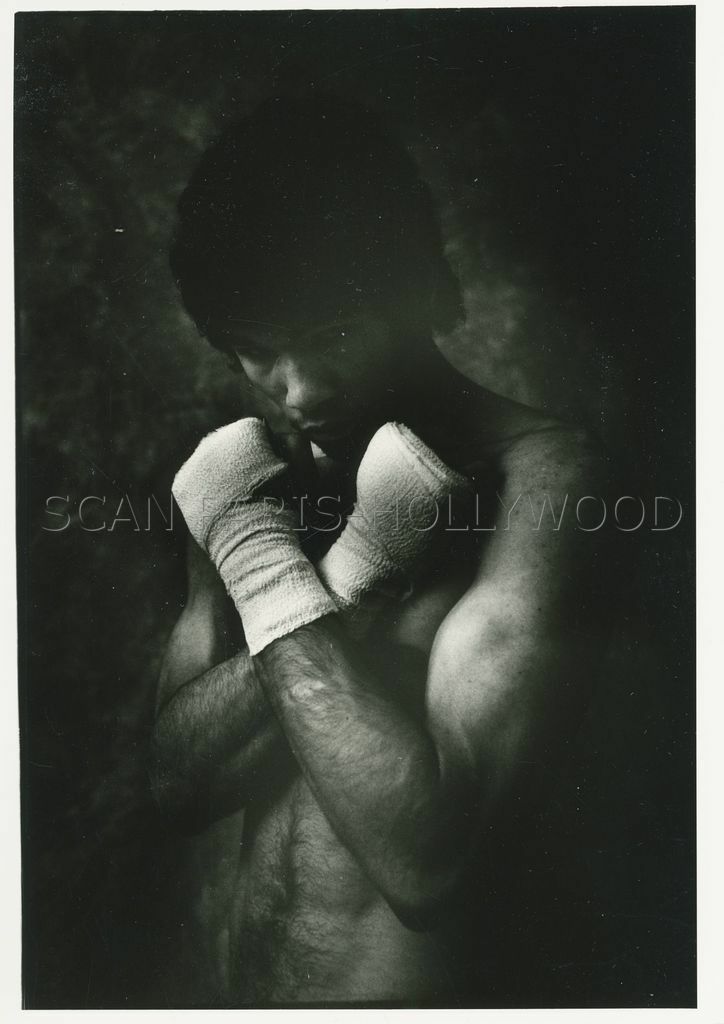 The Boxings Photographs of James a Fox