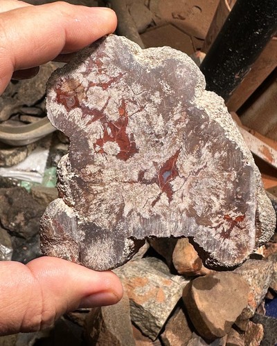 Agatized Utah Barite nodule slab - Picture 8 of 8