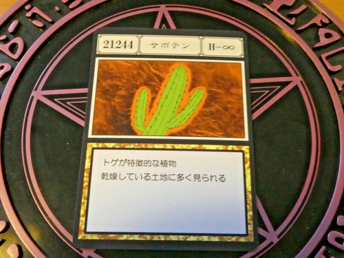 HUNTER X HUNTER GREED ISLAND CARDDASS LIMITED CARD CARTE 21244 JAPAN