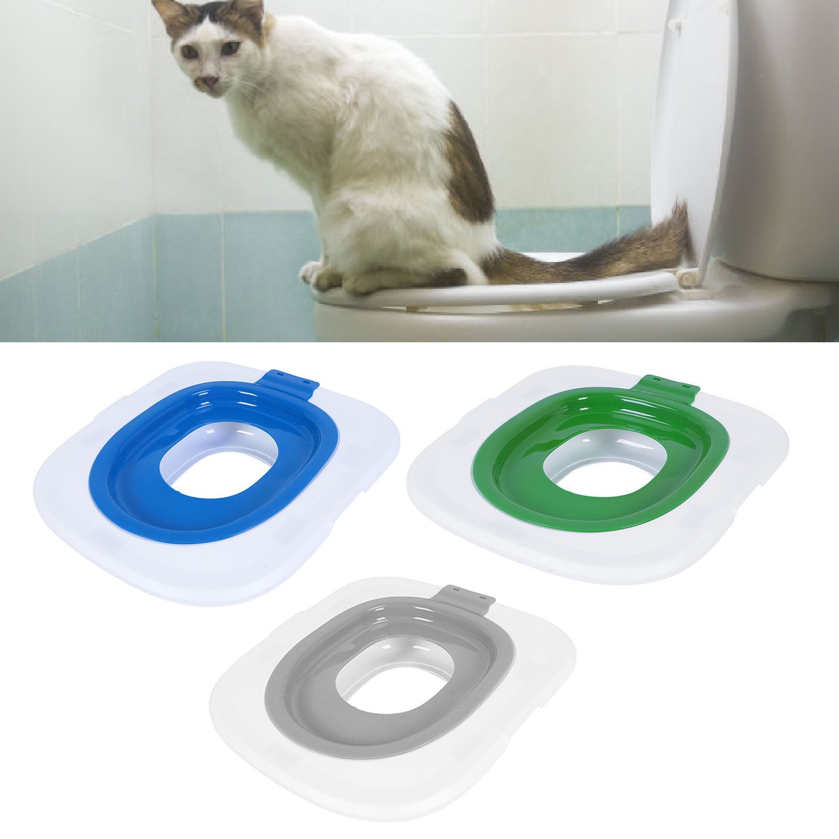 Training Kit How To Potty Train A Kitten Litter Box Cat Pee How To