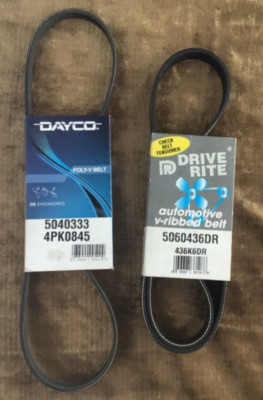 Dayco Drive Rite 5060436DR 436K6DR Poly-V Belt 5040333 fits  04 Nissan Sentra