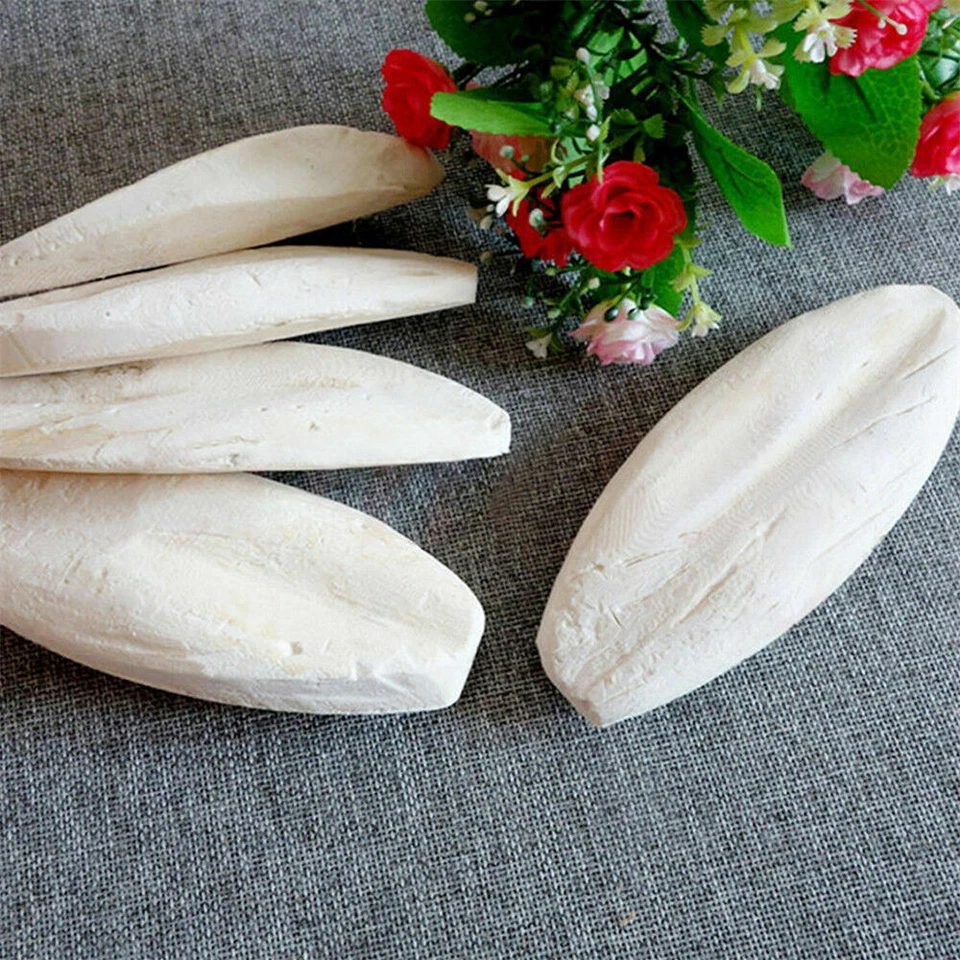 10-70 Stks Tintenfisch Knochen Sepia Tintenfisch Haustier Vogelfutter Kalzium DE - Bild 4 von 4