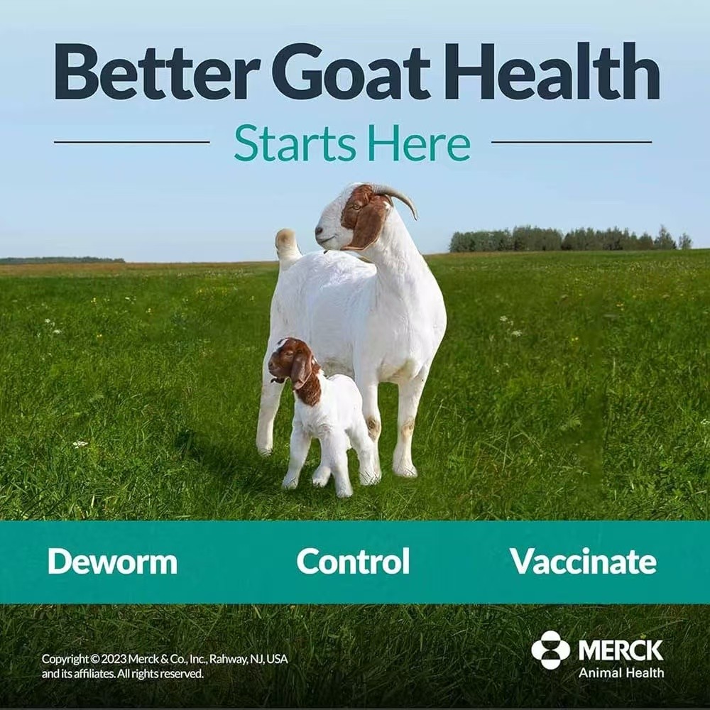 Merck Safe-Guard Goat Dewormer, 125mL fenbendazole  （3 Pack）