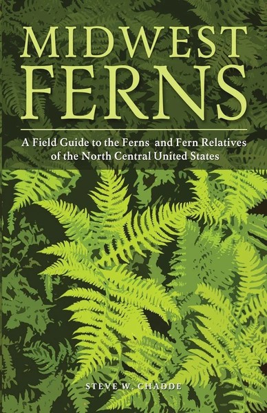 Steve W. Chadde | Midwest Ferns | Taschenbuch | Englisch (2019)-image