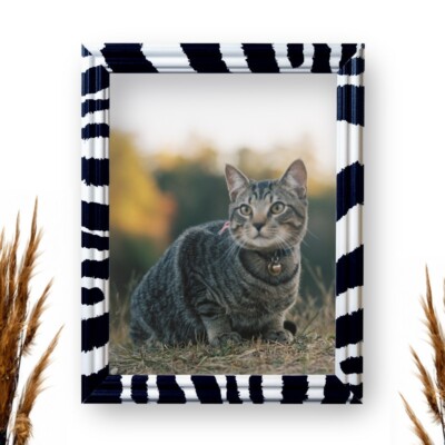 US Art 0.75'' Zebra, Wooden Photo Picture Poster Frame S-Lot