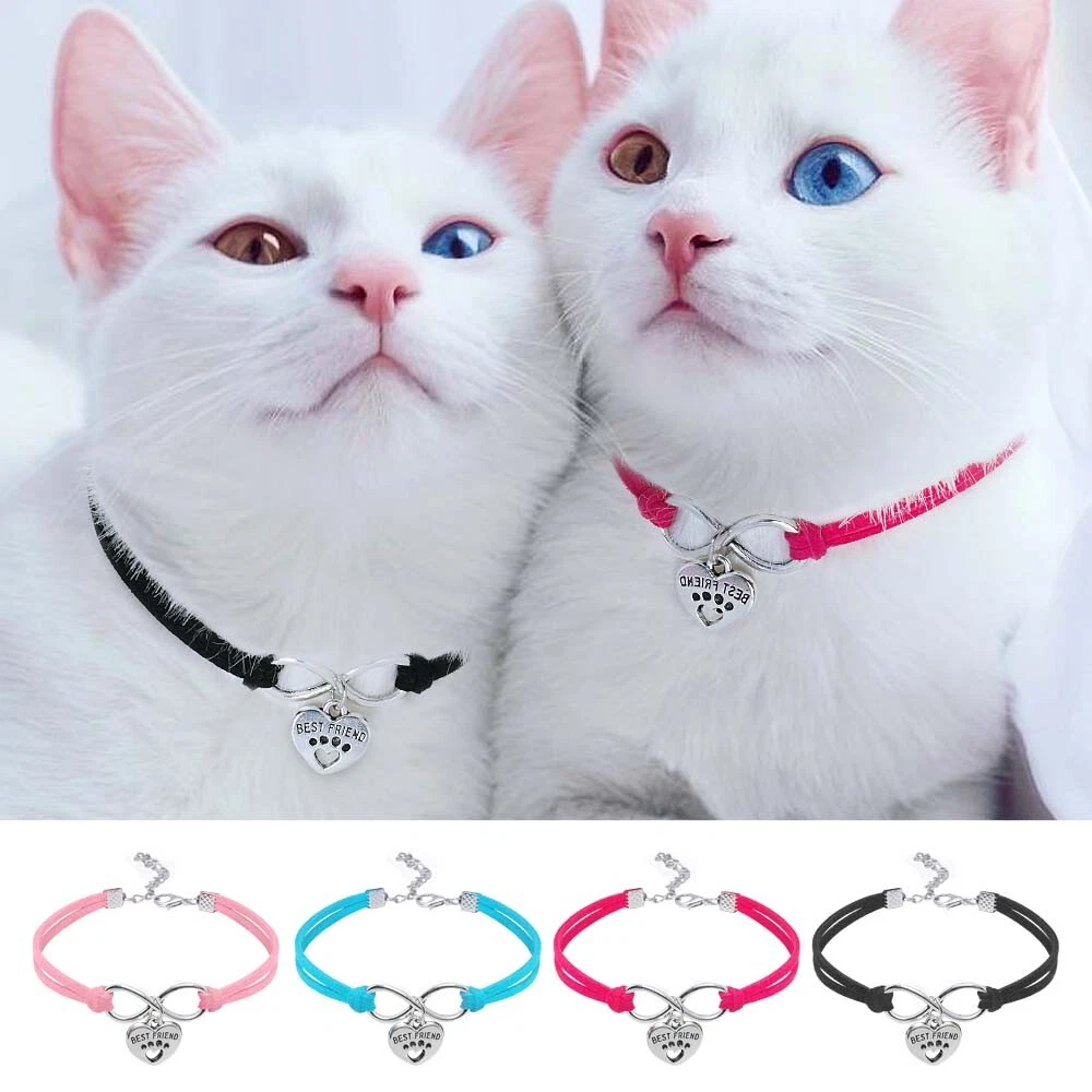 Cat hot sale collar accessories