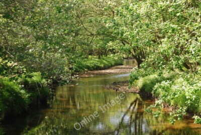 Photo 6x4 River Derwent Hackness/SE9790  c2010