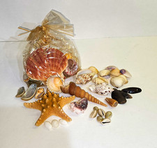 Mixed Sea Shells Natural shell Seashells Beach Wedding Display Craft Aquarium UK
