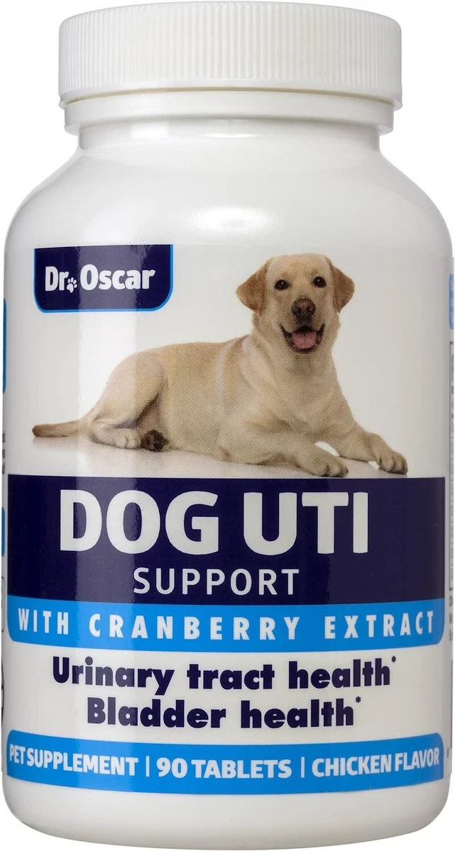 what can you give a dog for a urine infection