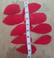 Vintage Red Feathers Dolls Plume Lot Hats Costume Millinery A38