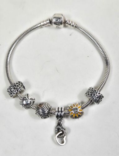 Pandora Bracelet With Pandora 6 Charms ALE 925 7 1