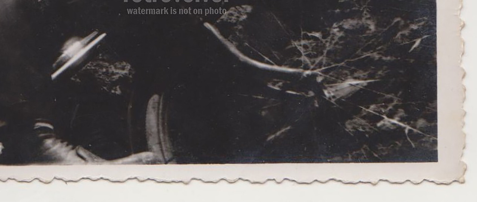 Picture 7 of 7