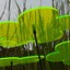 Bild 3 von 7