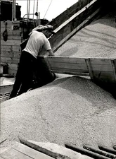 GA209 1960 Original Photo LINE OF TRUCKS WAIT TO UNLOAD WHEAT GOVERNMENT SURPLUS