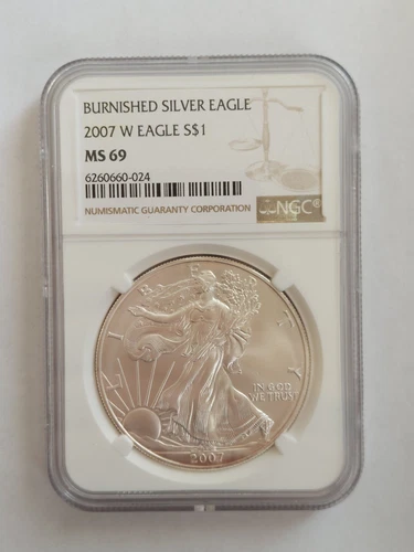 2007 W Burnished Silver Eagle MS 69 NGC West Point Mint Coin