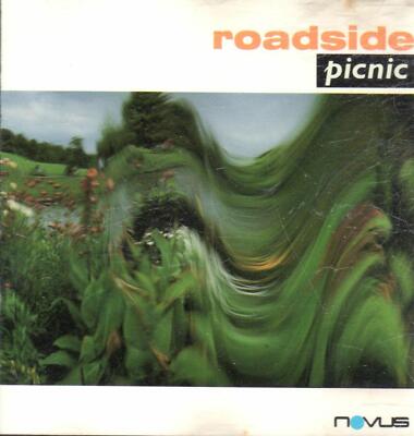 Roadside picnic - Roadside picnic  .... ?12