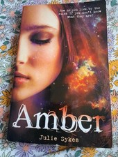 Amber by Julie Sykes (Paperback, 2013)