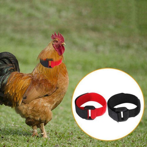 2 Pieces Anti Screaming Rooster Collar Chicken Collars For Chicken Duck - Picture 3 of 14