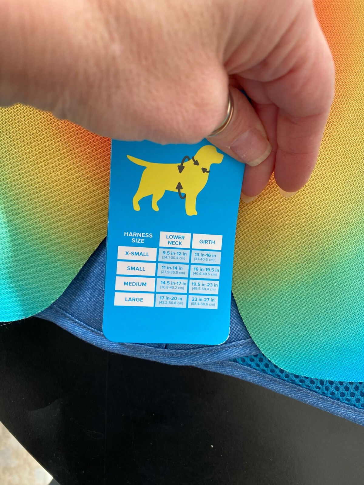 NWT "L" Rainbow W/ WINGS  Dog Harness by PRIDE "YOU ARE LOVED" W/ SHORTS & CROWN