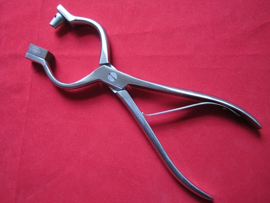 Bull Nose Punch for Cattle Bulls - Stainless Steel