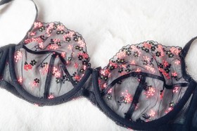 Agent Provocateur L'Agent 36DD Clementina Unlined Sheer Mesh Bra Embroidered