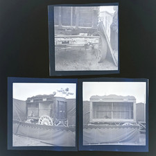 Alread Animal Show Cage Wagon Circus Photo Negatives