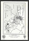 1961 Cape Henry Memorial Visitors Guide with Map — photo 4