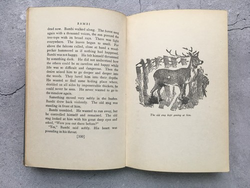 Bambi Thrushwood Books Hardcover Book by Felix Salten 1929 - Picture 10 of 13