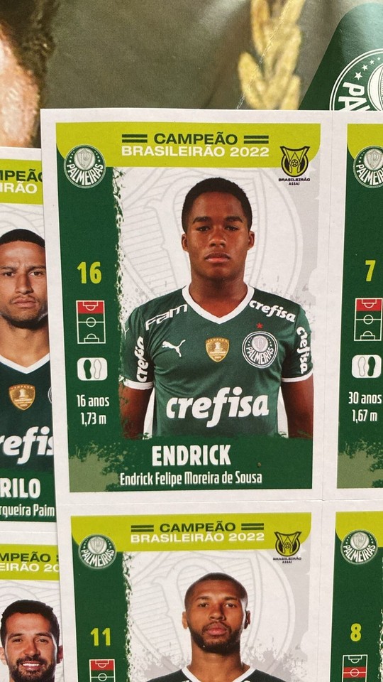 Endrick Rookie Sticker Brasileirão 2022 Palmeiras + Poster Invest | eBay