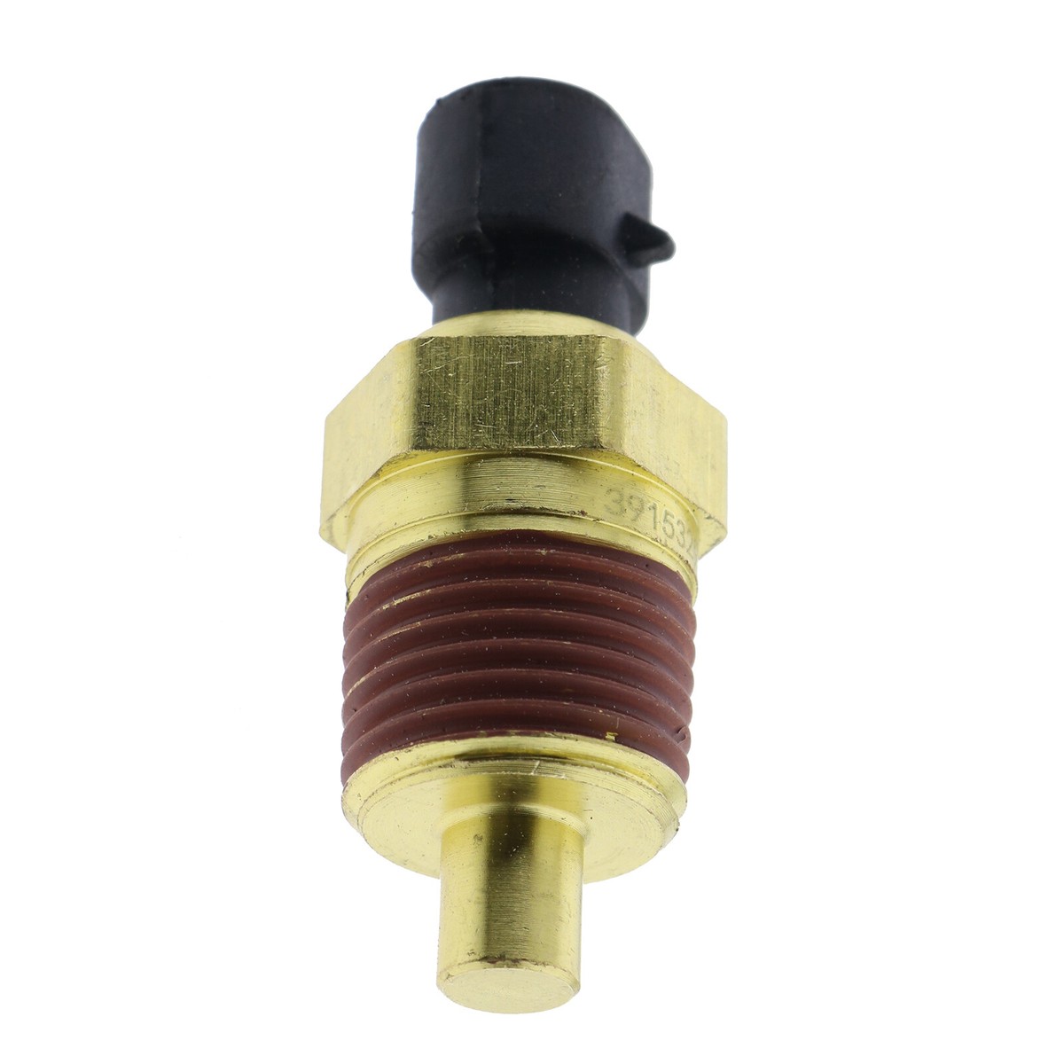 K14カメオ DS01-0806_1__17821.1731979611.