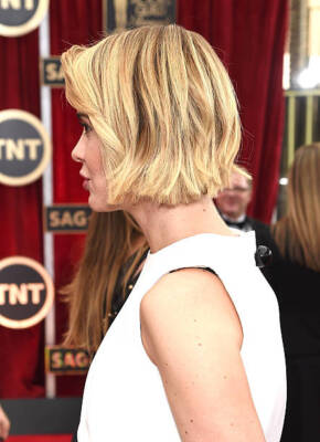 Sarah Paulson at TNT's 21st Annual Screen Actors Guild Awards at T - Old Photo