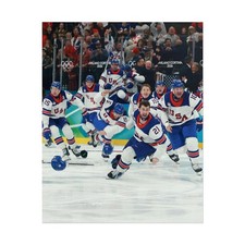 USA Hockey Team poster, Olympic 2026, Gift For Fans, 16x20