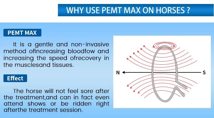 Professional Pemf Physio Magnetic Therapy Pmst Loop Pemf Health Care Device - Picture 14 of 24