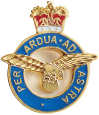 RAF Royal Air Force Insignia Pin Badge - MOD Licensed