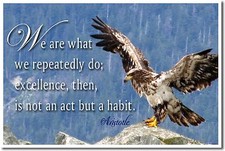 NEW Classroom Motivational POSTER - We Are What We Repeatedly Do... Aristotle