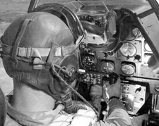 P-51 Mustang fighter USAAF pilot controls World War II WWII WW2 8x10 Photo 320c