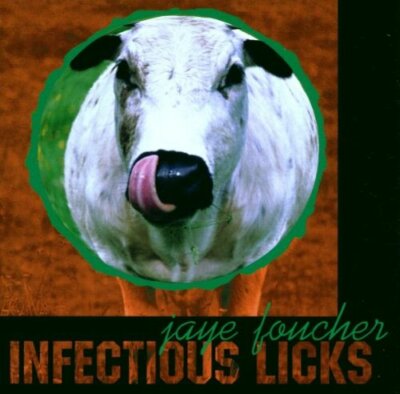 JAYE FOUCHER - Infectious Licks (CD, Jewel Case, Rock like JOHN PETRUCCI....OVP)