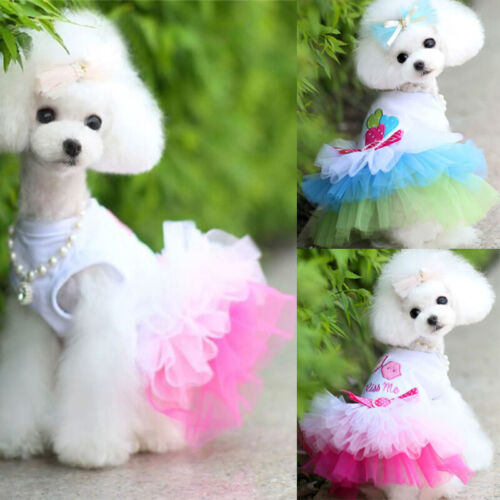 Pet Clothes Girl Dog Cat Lace Dress Print Skirt Puppy Sweety Princess Apparel - 第 1/14 張圖片